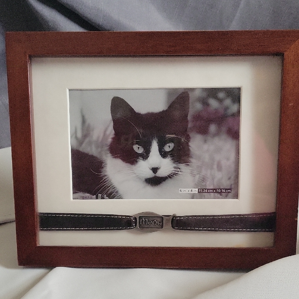 Vintage American Greetings Cat Photo Frame with Meow Plated Collar